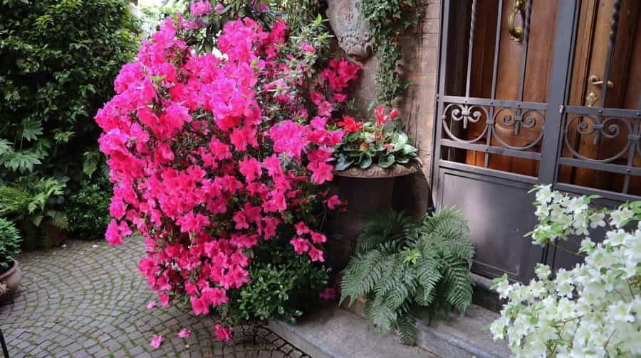 Photo 6, Via Arturo Cassoli, 44122 Ferrara, Italy (May 2019) Photo 6, Photo taken on walk along Via Arturo Cassoli, Ferrara, Italy (May 2019)