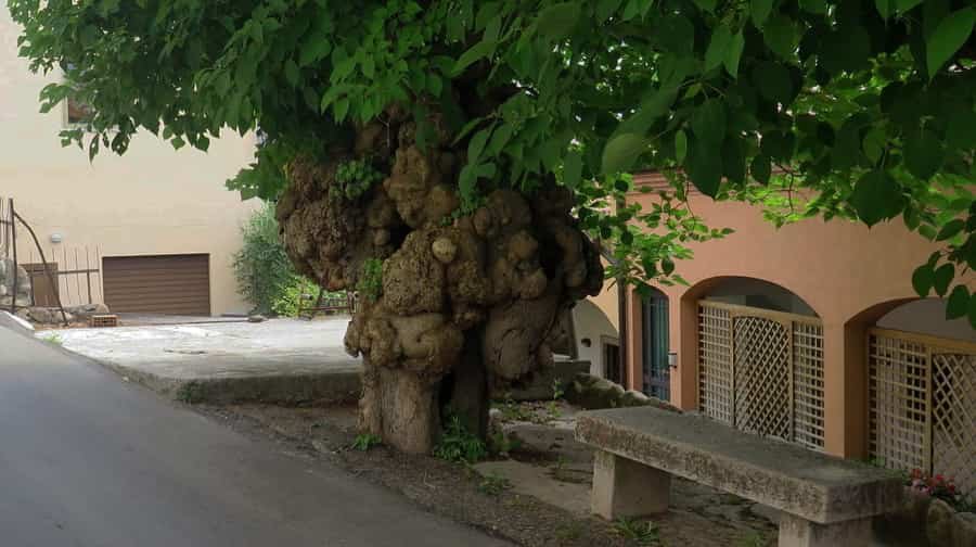 Photo 9, Via Roma, 37010 Cavaion Veronese, Italy (June 2018) Photo 8, Photos taken in Parrocchia S. Francesco in Acqui Terme, Italy May 2022